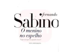 Livro O Menino Do Espelho